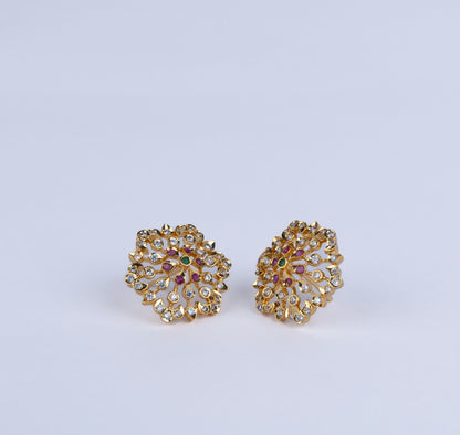 Rajsi Studs