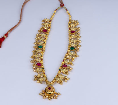 Paripurna Saaj Set
