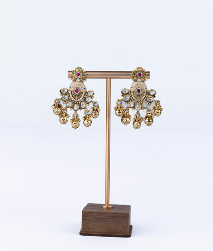 Taal Nandini Drops